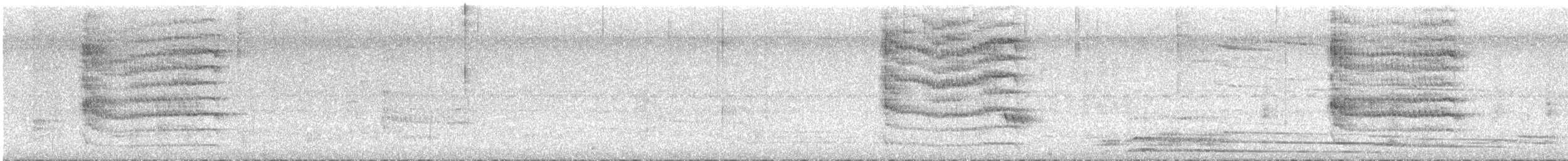 Starkschnabel-Maskentyrann - ML578416611