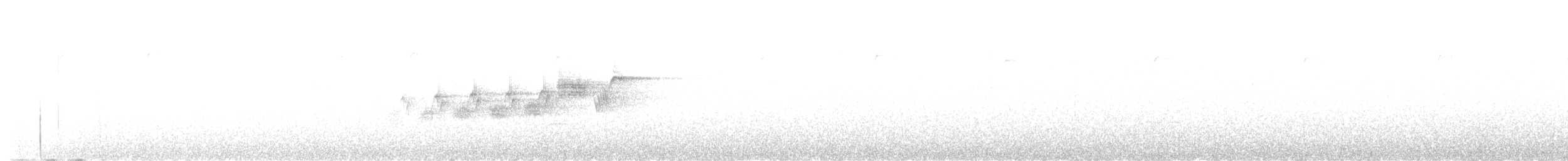 Black-throated Gray Warbler - ML578431101
