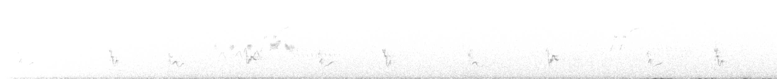 Gray Vireo - ML578433501