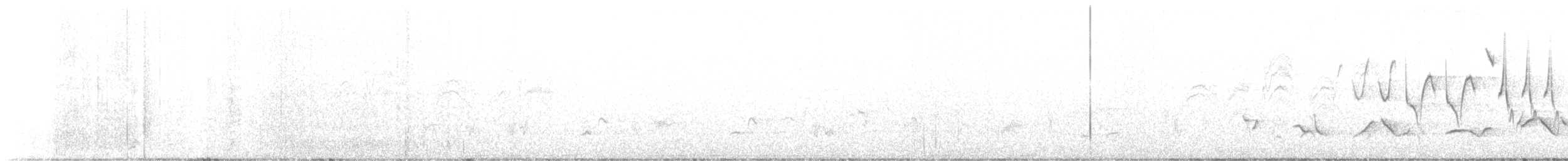 גבתאי ורוד-חזה - ML578433861