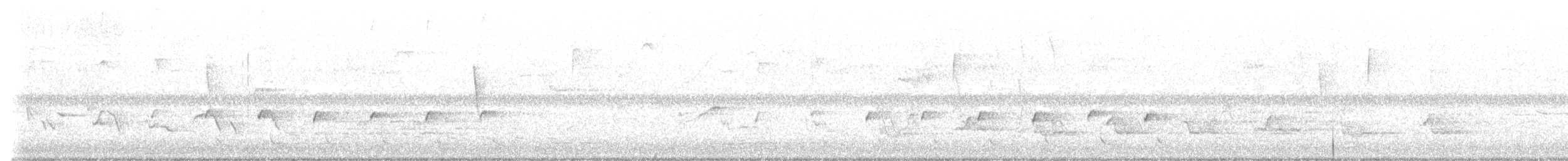tyranovec žlutobřichý - ML578443241