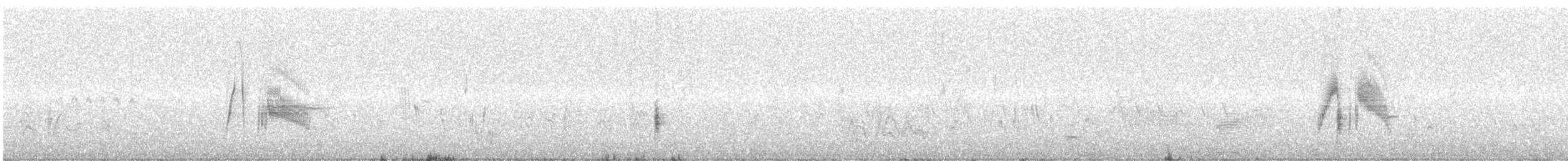tyranovec vrbový - ML578487601