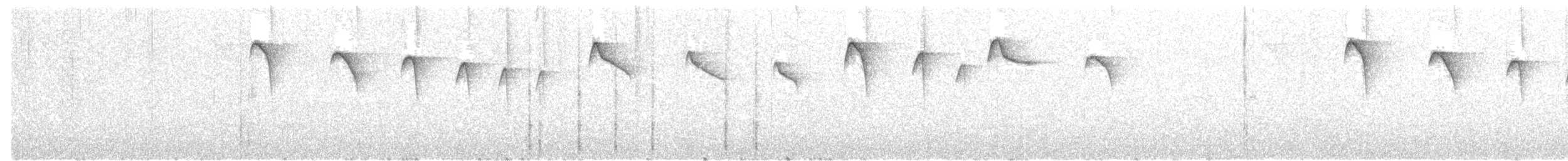 Коричневый колибри-отшельник - ML578497351