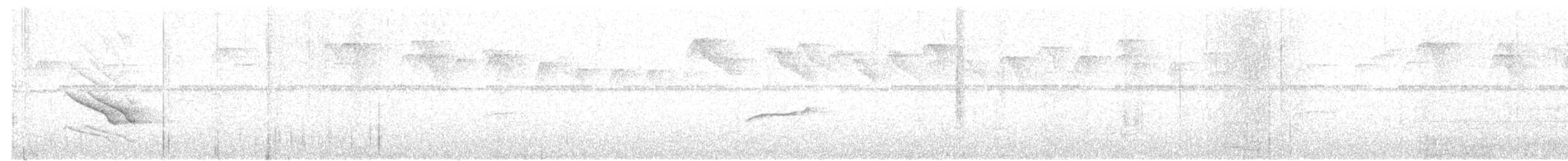 Band-tailed Manakin - ML578498171