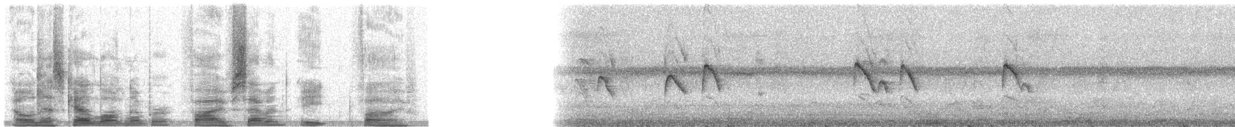 Fiji White-eye - ML5785