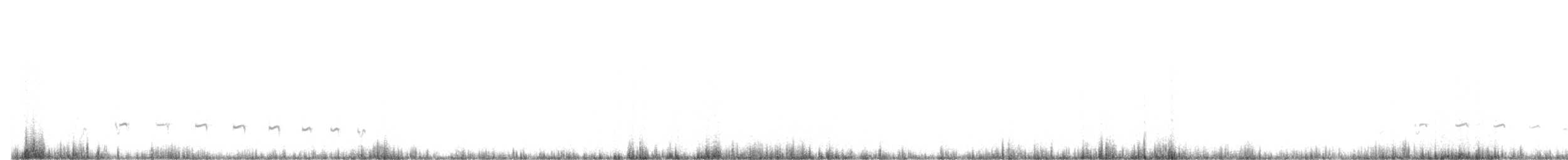 Белогорлая качолота - ML578501361