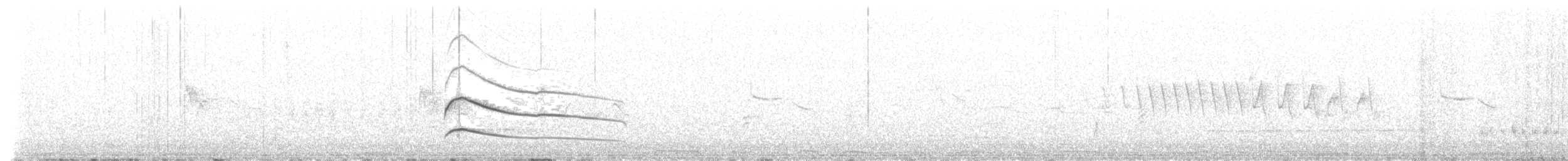 Gray Hawk - ML578530461