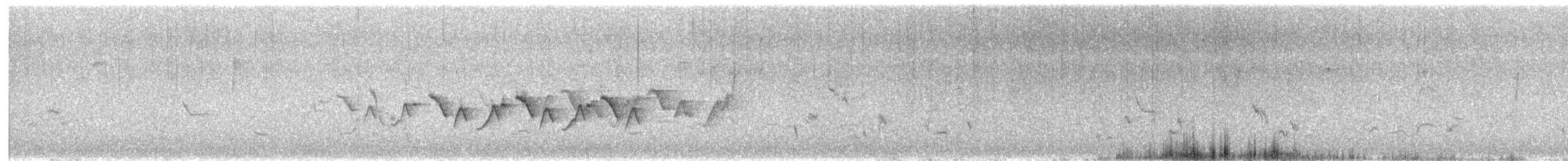 Common Yellowthroat - ML578533711