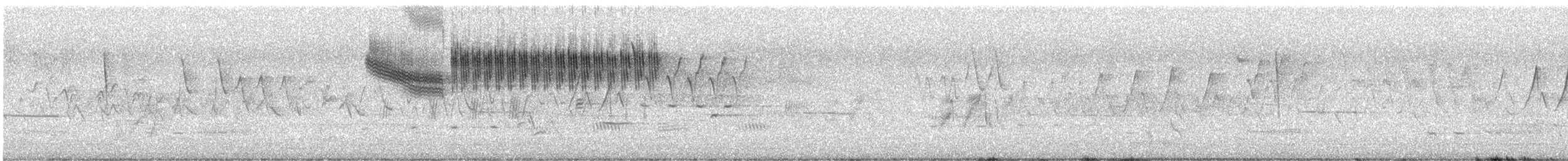 Желтокрылая x Голубокрылая червеедка (гибрид) - ML578559961
