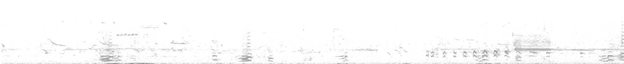 Common Gallinule - ML578567121