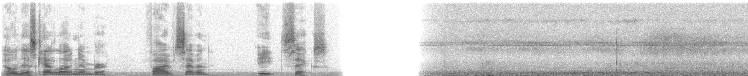 Barking Imperial-Pigeon - ML5786