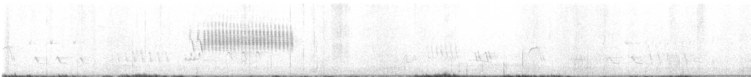 Spizella sp. - ML578602971