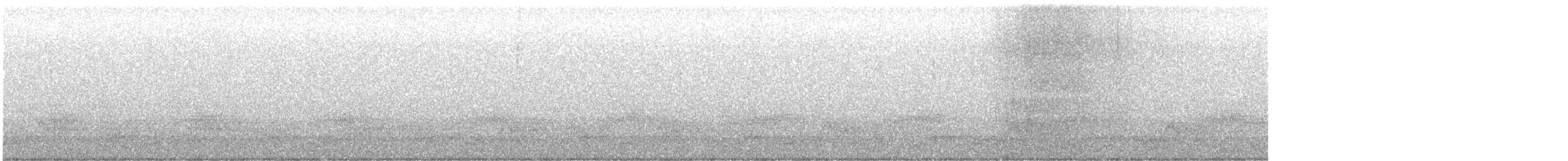 Schwarzkehl-Nachtschwalbe - ML578615071
