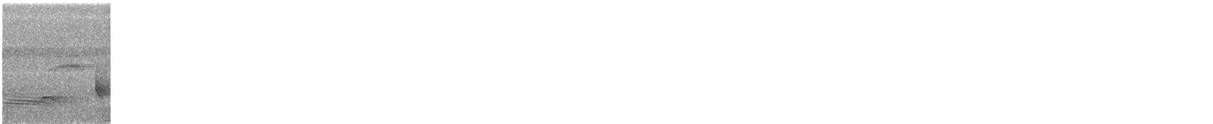 Long-tailed Manakin - ML578628541