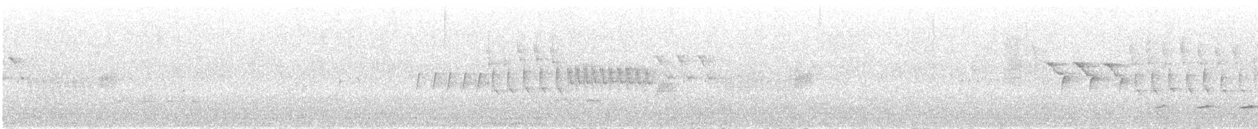 slavík obecný (ssp. golzii) - ML578628951