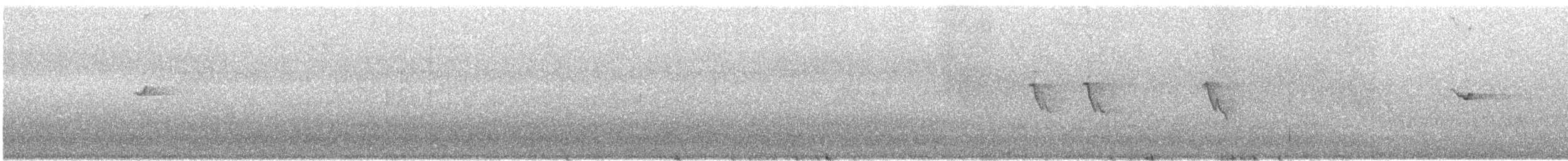 svarthettehonningeter - ML578661111