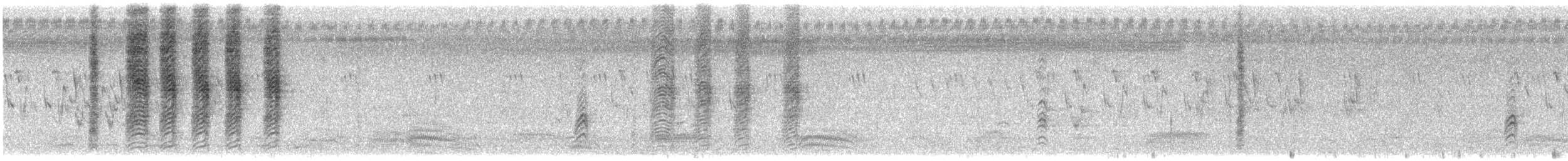 Ashy Woodswallow - ML578679531