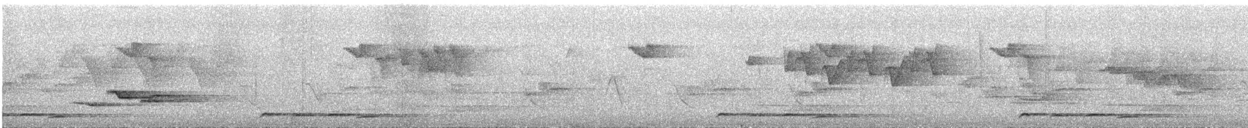 オグロコンヒタキ - ML578698501