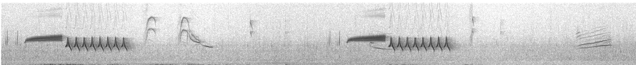 Bewick's Wren - ML578716421