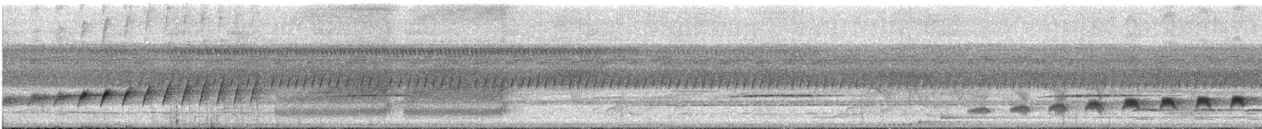 Bauchflecken-Ameisenvogel - ML578730831