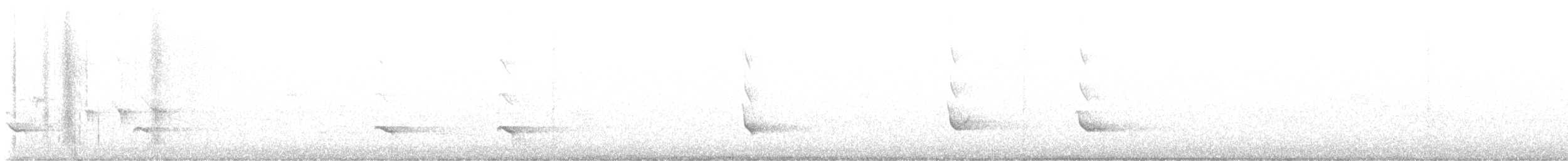 White-tailed Kite - ML578756591