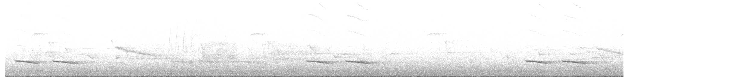 Mésange bicolore - ML578759211