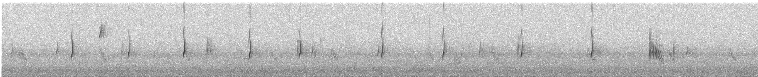 Empidonax sp. - ML578783591