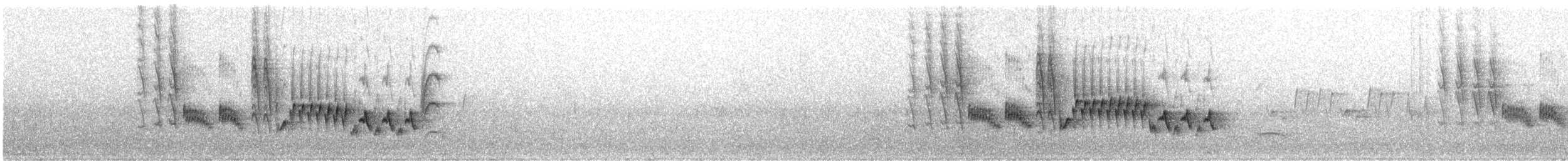 Northern House Wren - ML578783871