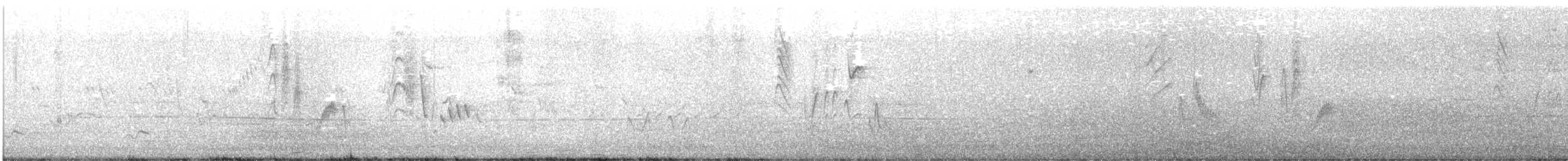 Viréo nain - ML578794331