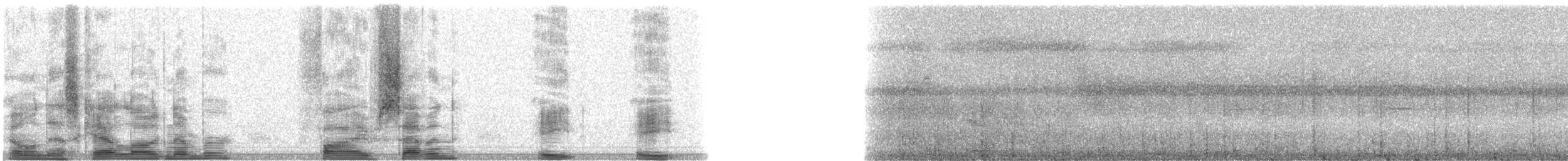 Barking Imperial-Pigeon - ML5788