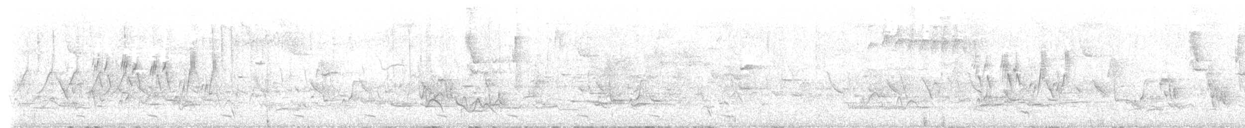 Mourning Warbler - ML578802331