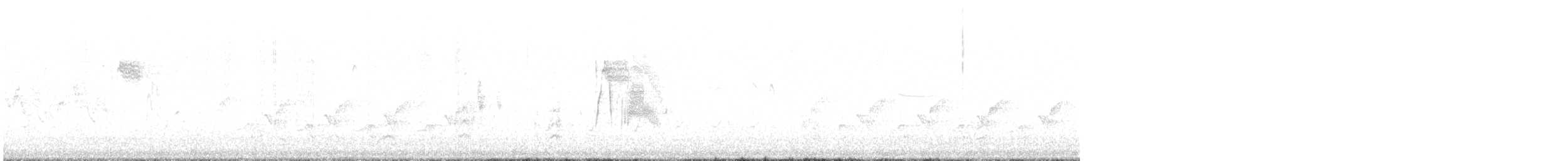 tyranovec vrbový - ML578811201