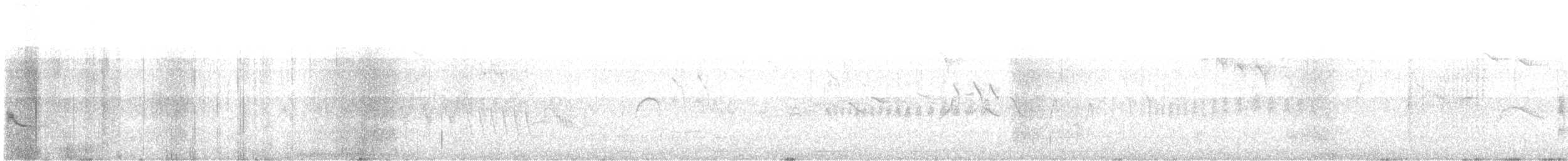 Western Orphean Warbler - ML578850411