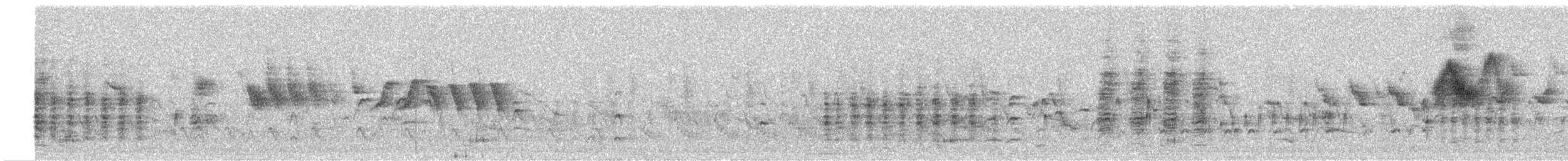 Bullock's Oriole - ML578858491
