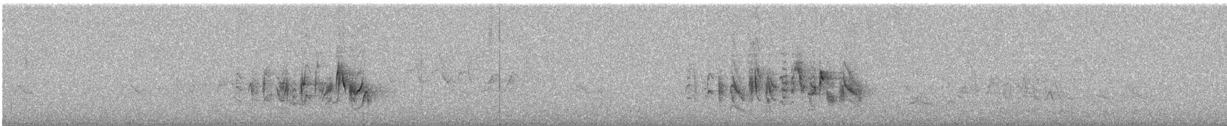 Vireo de Bell (arizonae) - ML578862101