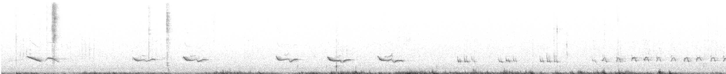 Northern Mockingbird - ML578870051