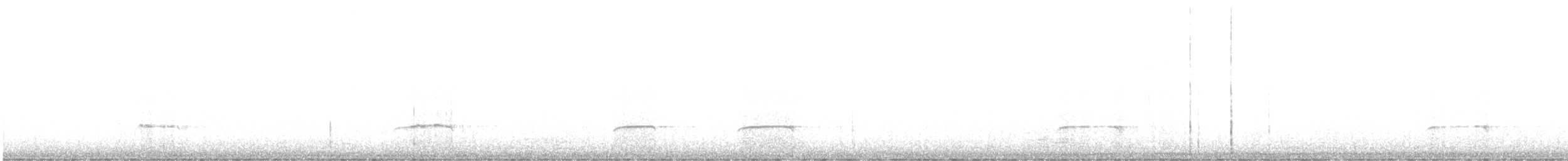 Çizgili Boğazlı Çalı Tiranı - ML578870591