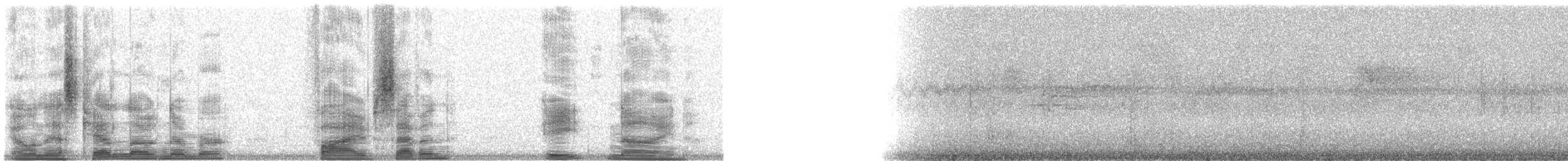 Duetting Giant-Honeyeater - ML5789