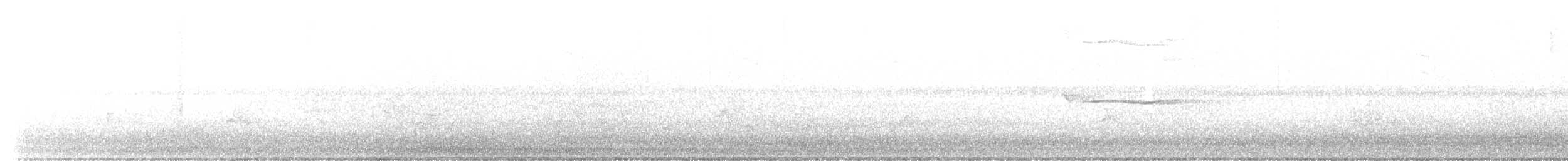 Broad-winged Hawk - ML578929361