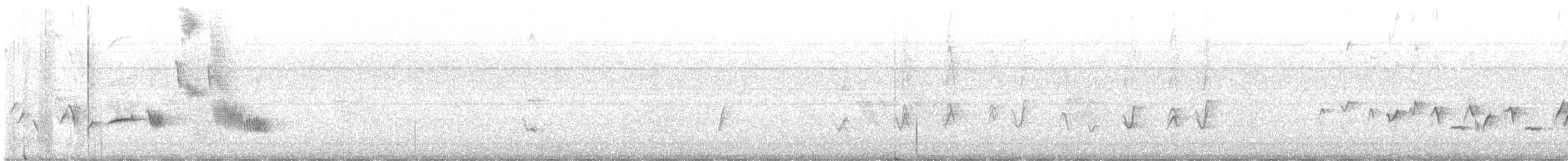 House Finch - ML578955781