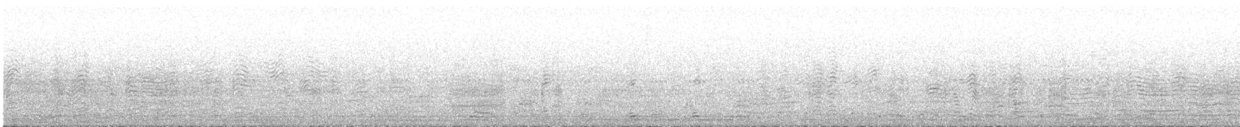 Cory's Shearwater (borealis) - ML578960791