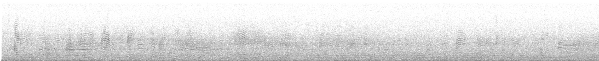 buřňák šedý (ssp. borealis) - ML578963181