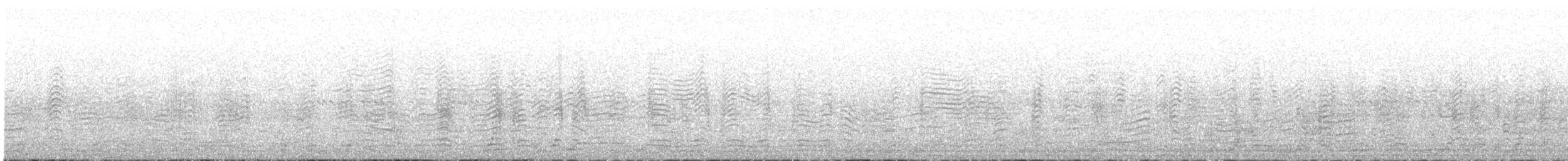 Cory's Shearwater (borealis) - ML578965621