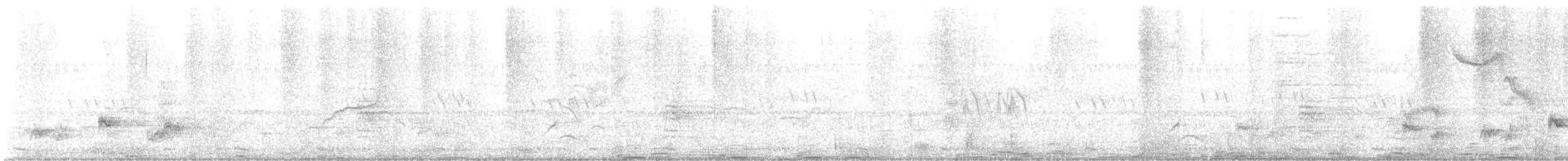 Southern Ground-Hornbill - ML578994061