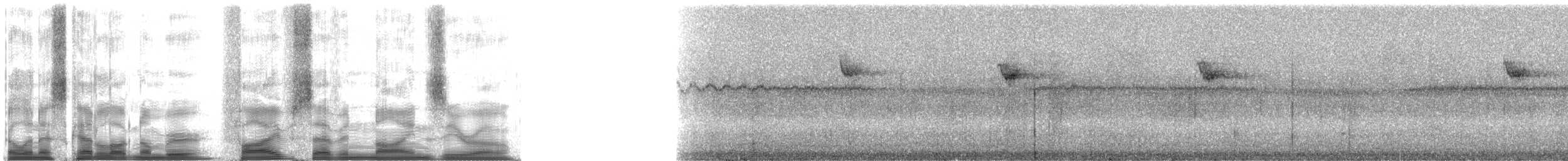 Red Avadavat - ML5790