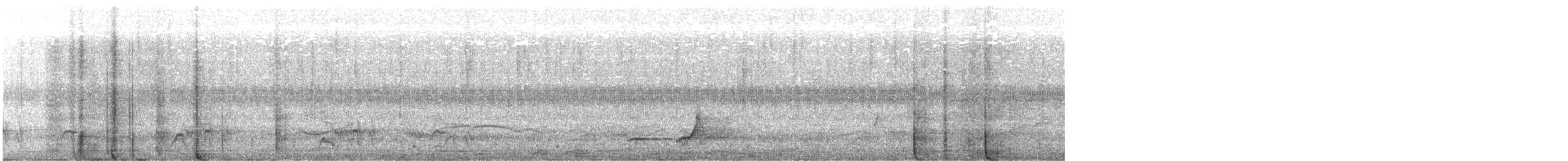 Spot-bellied Bobwhite - ML579005351
