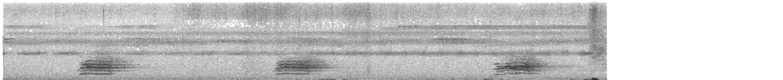 Ara chloroptère - ML579008591