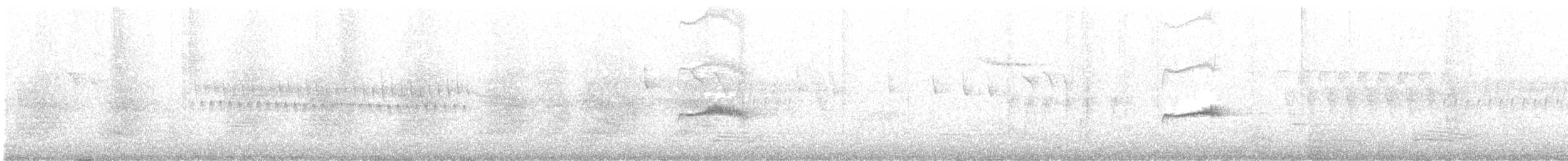 Western Wood-Pewee - ML579061611