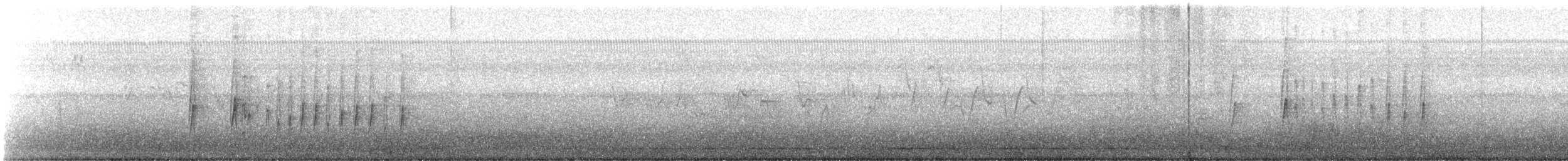 Schmalschnabel-Königstyrann - ML579061761