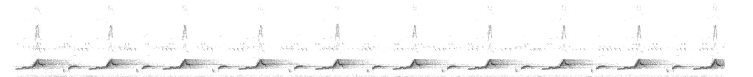 Eastern Whip-poor-will - ML579100421